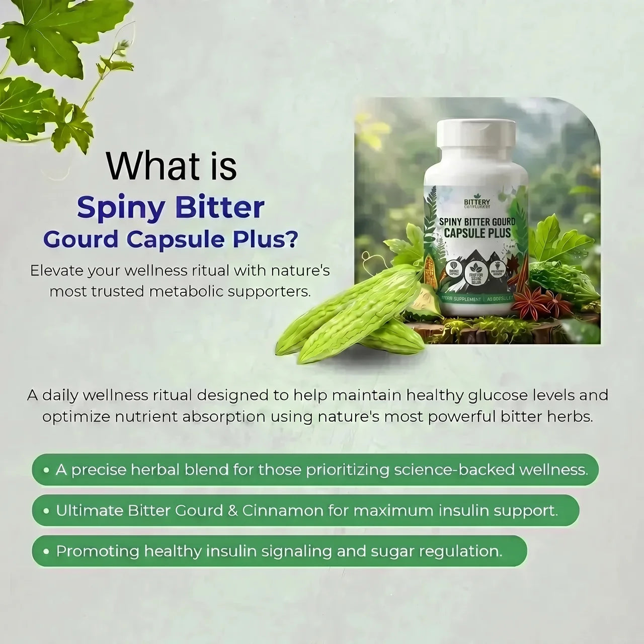 Bitter Melon & Cinnamon Extract – Blood Sugar Support (30 Vegetarian Capsules)